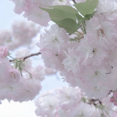 晴隆福瑞交流群